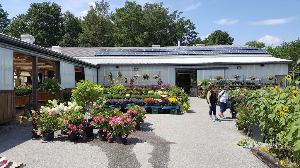 Road Trip Cheltenham, Inglewood & Caledon East